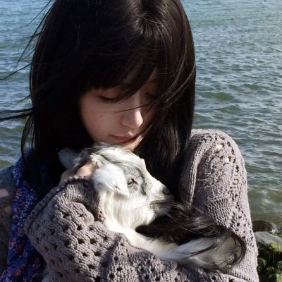 骚狐狸